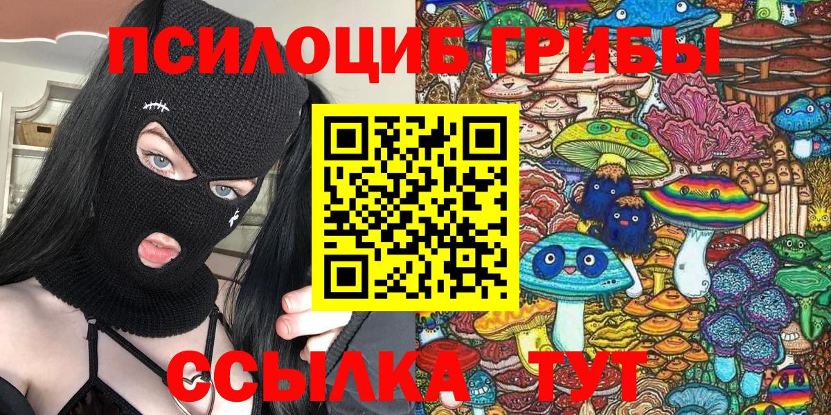 Галлюциногенные грибы прущие грибы  Вход с VPN  Горно-Алтайск  Псилоцибиновые грибы Psilocybine cubensis 